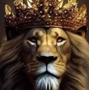 Meet your Posher, Al